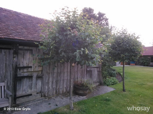 Can u spot Huckleberry in the tree!?
View more Bear Grylls on WhoSay