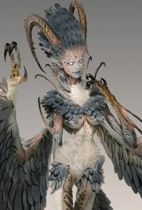 harpy concept art Jay Choihttps://www.artstation.com/artwork/ELrBb2 