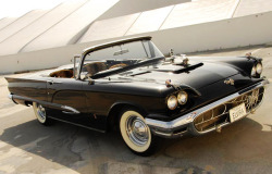 heathergraves:  vintagegal:  Elvira’s 1958 Thunderbird (x)  Most perfect car in existence   Not the most perfect car ever, but still a cool 1.