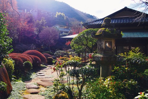 tokyogems:found a beautiful, quiet garden in hakone.吉井旅館の庭園。