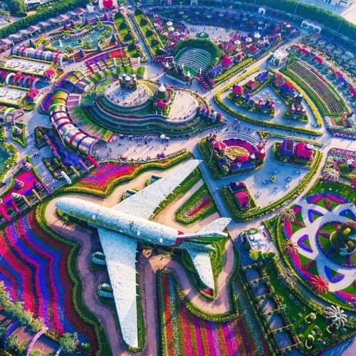 legendary-scholar:  Dubai Miracle Garden, Dubai 