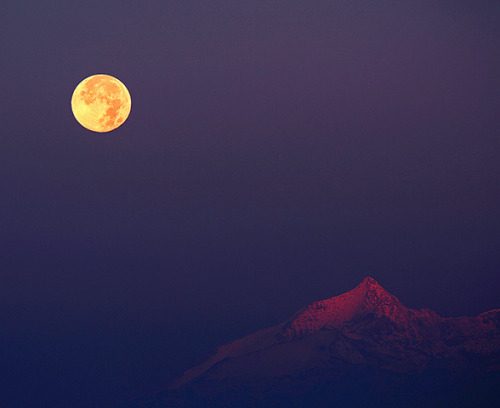 outreachscience:  Astrophotographer of the Year 2013 Shortlist 6 of 15 The full moon glows a warm orange over snowcapped alps as seen by Stefano De Rosa.