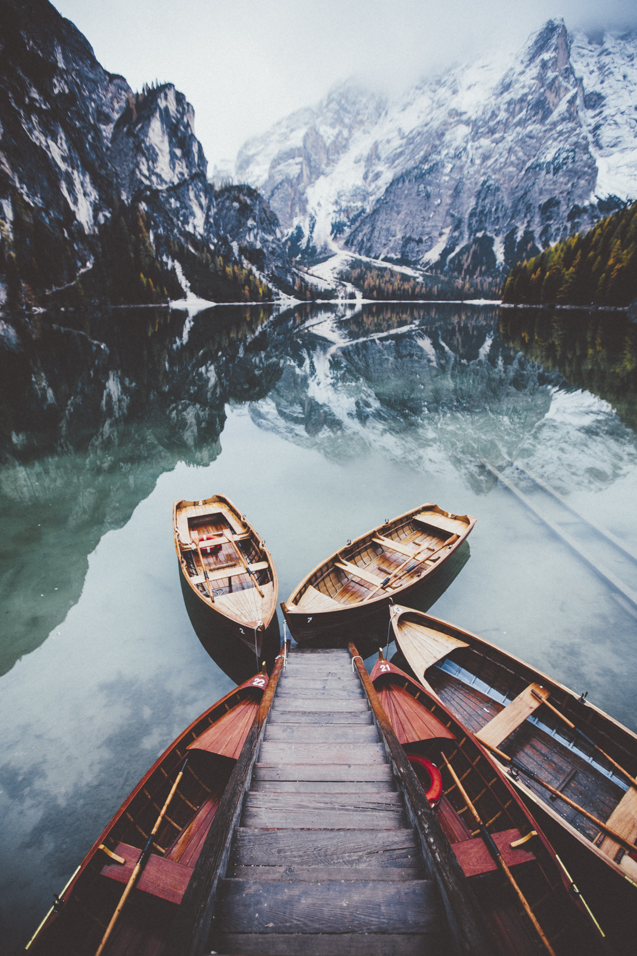 elenamorelli:  { contagious calmness }