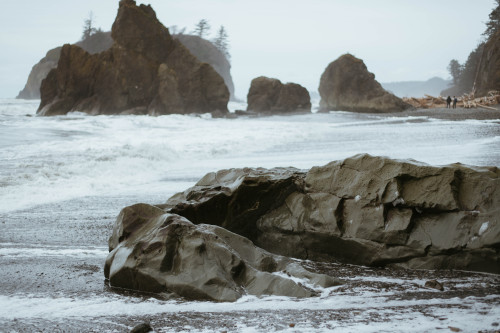 millivedder:Olympic National Park, March 2021