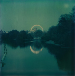 nobrashfestivity: Polaroids by Andrei Tarkovsky