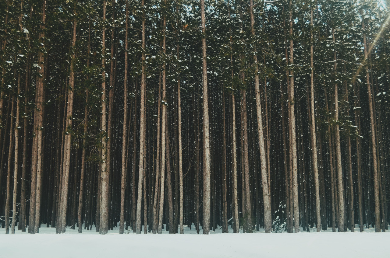 zacharysnellenberger:   Today's Scenery | Zachary Snellenberger 