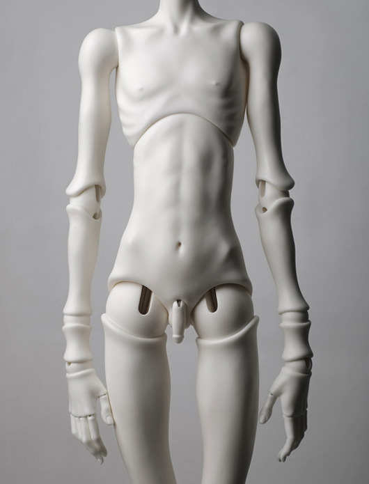 ineedtodietoday:  Doll Chateau Model 285Model 303