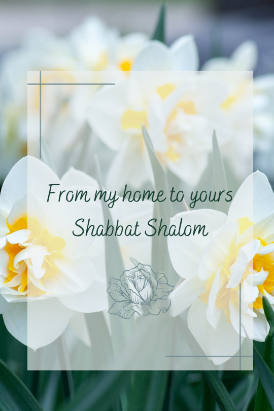 How do you respond when someone says shabbat shalom?