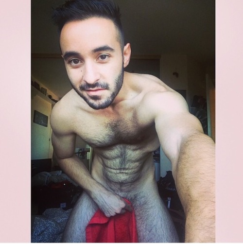 emergencyotter:  (More on Tumblr) 