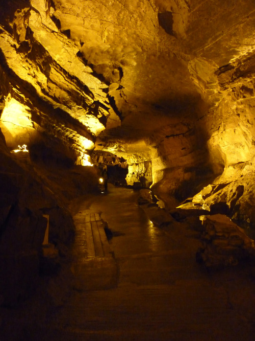 Underground at Dan-yr-Ogof, September 2014 can you spot the angel?