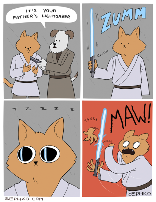 recollectingthepast:“Cats Would Be Terrible Jedi Knights"