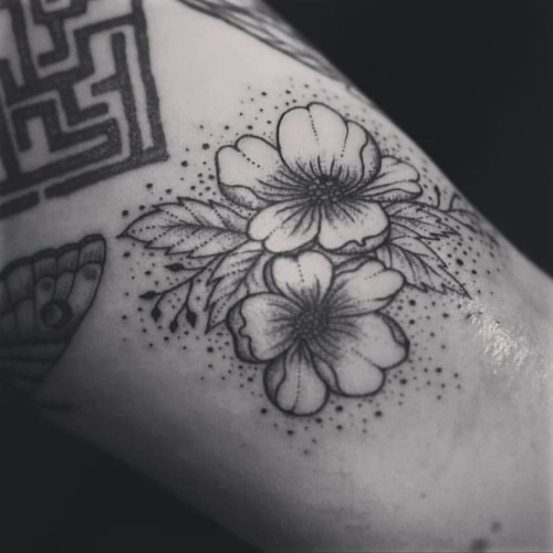 Delicate flowers by @moriild Go give her profile a follow . . . #blackwork #dotwork #handmade #handp