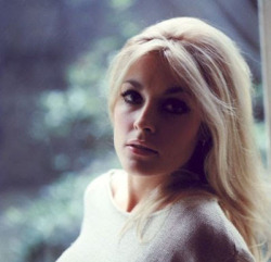 the60sbazaar:  Sharon Tate 