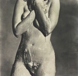 corophagia:  Nude Torso, Soaping, New York, 1978 Irving Penn