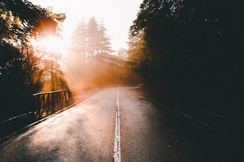 foresity:  Solar explosion (by ikhals)