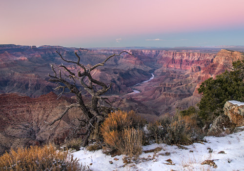 phantastrophe: Grand Canyon, Arizona | Photographer: Tim Williams