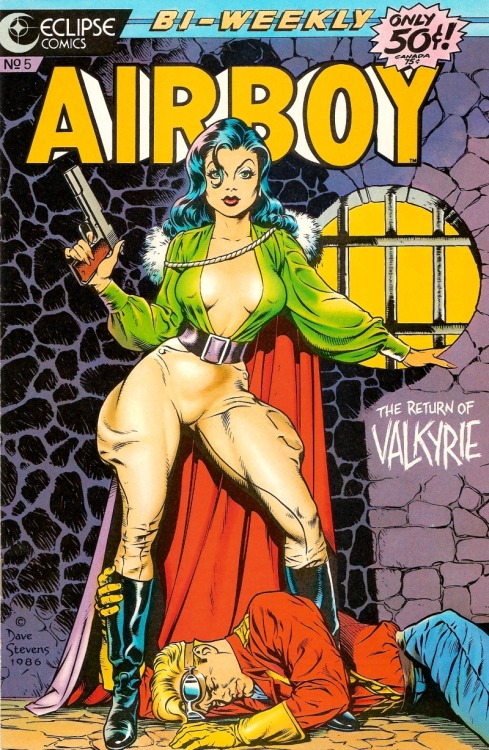 cooketimm:  Valkyrie by Bruce Timm  Fred Kida (1943), Dave Stevens (1986), Brian Bolland (1987), Joe Chiodo (2004)Valkyrie is the codename of Liselotte von Schellendorf, the main rival and love interest of Airboy. She first appeared in “Air Fighers