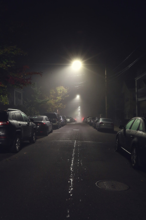 Foggy nights.