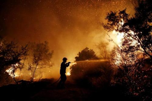  A firefighter tries to extinguish a wildfire burning near the village of Kalamos, north of Athens, 