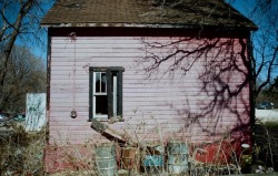goldenprairies:abandoned pink house!