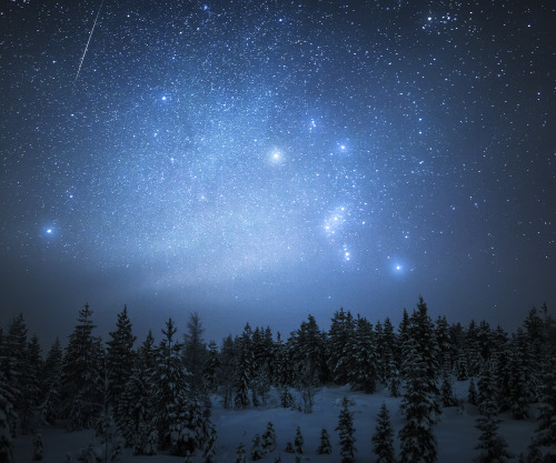 tiinatormanenphotography:Orion. I think I will make series about the orion too, can see it here