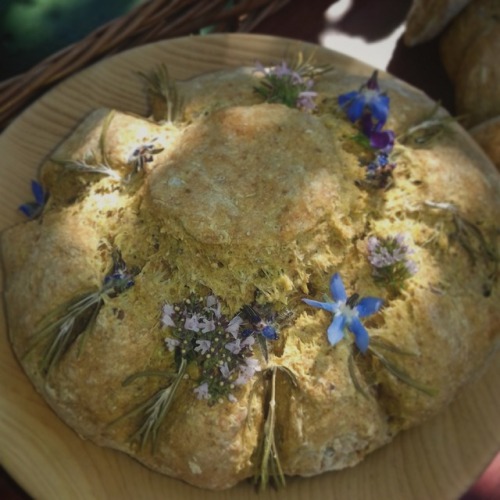 sailleengladelling: …Lughnasadh…my celebration… in my fairy garden…