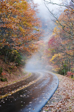 autumn-children:  moody-nature:  the road unknown | By Dennis | Buncombe, North Carolina, USA   