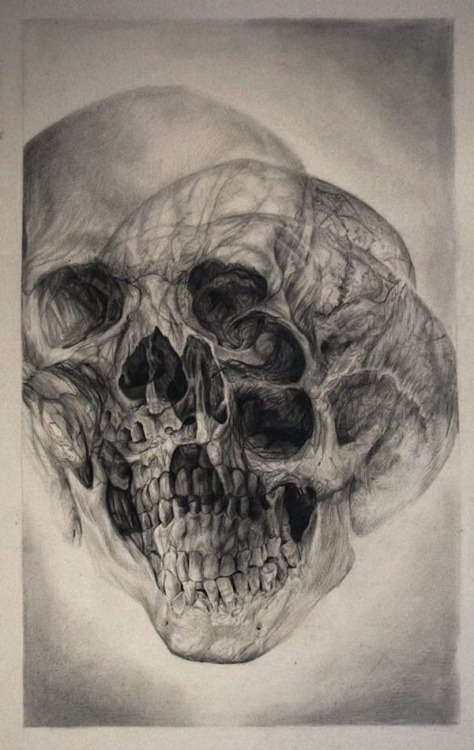 obsessedwithskulls:   Drawing by Georgia Manay. 