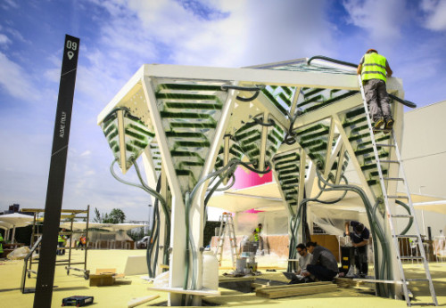 sunlitrevolution: Futuristic Urban Algae Folly grows food, fuel and shade The future of food is gree