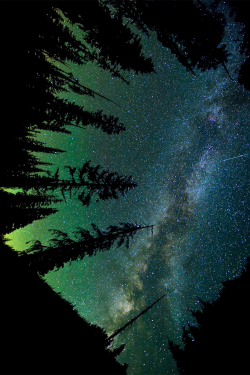 plasmatics-life:  Milky Way | (by Carlos Maxwell) 