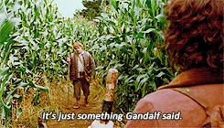 elijahwood:     lotr parallels    