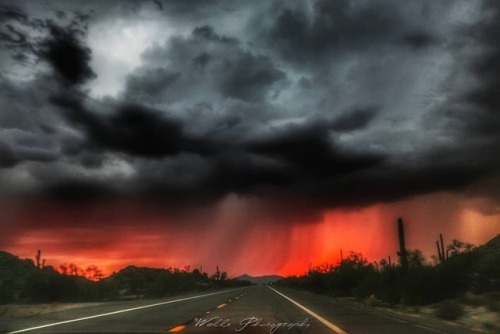 Storm outside casa grande from last year. . #storm #sunset #rain #orange #clouds #thunder #canon #ar