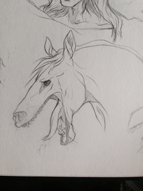 kimblewick:A couple of capaill uisce (kelpie) sketches from a while back. Found these whilst browsing for free pages in my old sketchbooks, loveee the concepts. These bitey horses are looking good.