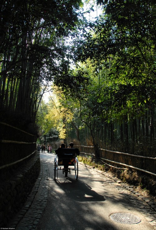 Kansai region, Kyoto, Arashiyma