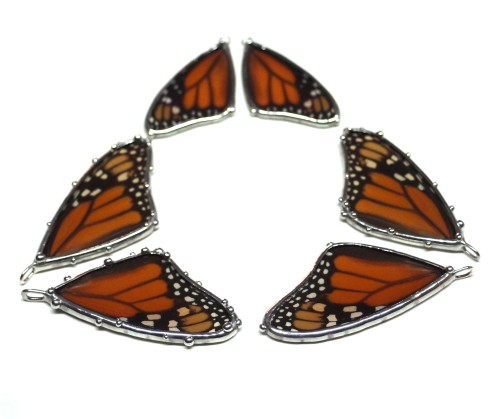 Her jewelry features real butterfly wings, their fragile beauty encased in glass. (But don’t worry, 