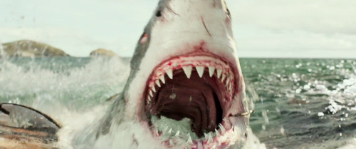 cyberqueer:  “Fuck you.” The Shallows (2016) dir. Jaume Collet-Serra