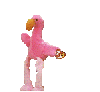 dancing flamingo beanie baby