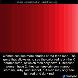 mindblowingfactz:    Women can see more shades of red than men. The gene that allows us to see the color red is on the X chromosome, of which men only have 1. Because women have 2, they can see crimson, maroon, cardinal, ruby, and scarlet, but men may