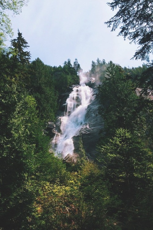 dab-angel:  ☼ nature-ish blog ☼ 