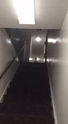 finofilipino:  El día que olvidé cómo bajar escaleras.