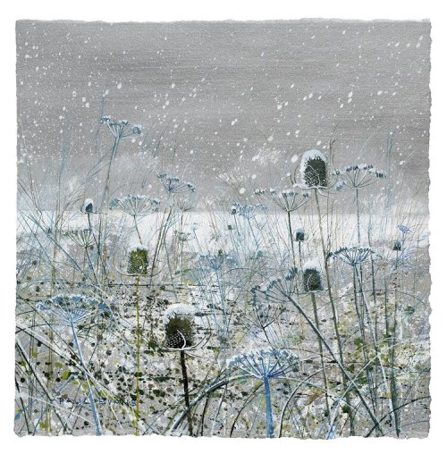 Winter Teasels   -  Paul EvansBritish, b. 1950-Ink and acrylic on paper, 68 x 69 cm.