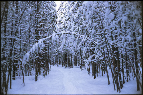 the69thdimension: Grand Teton National Park, Wyoming Expired Kodak Ektachrome 100 // Leica M5