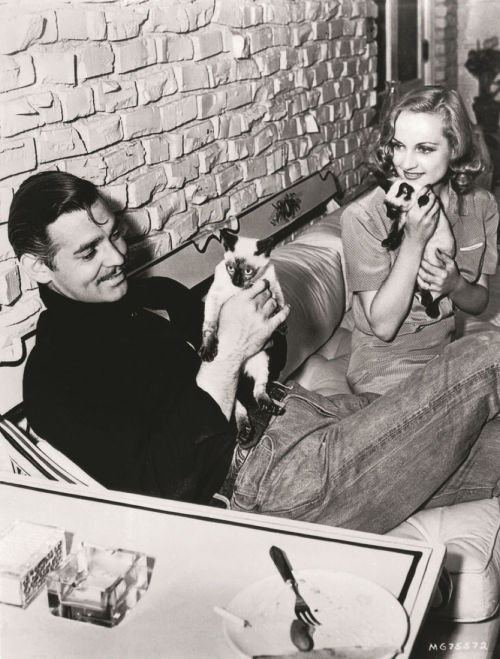 Clark Gable and Carole Lombard at home with their pet Siamese cats. (1940)