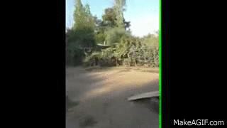 jaidefinichon:  TARRO WASTED