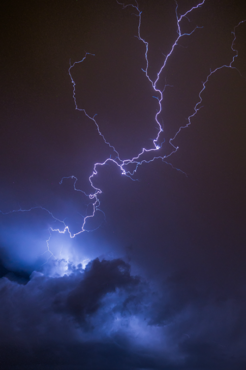 tulipnight:  High target by Florian Duchamp