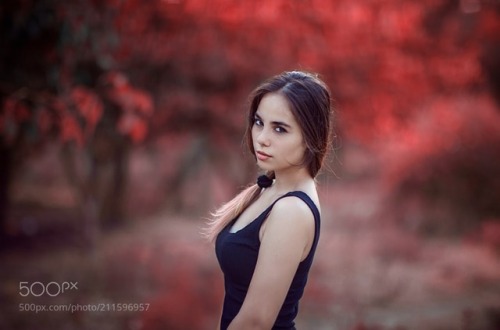 Canon 85mm 1.2 L II by NY_Photo