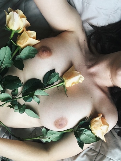 disasterslut:  roses bloom for you