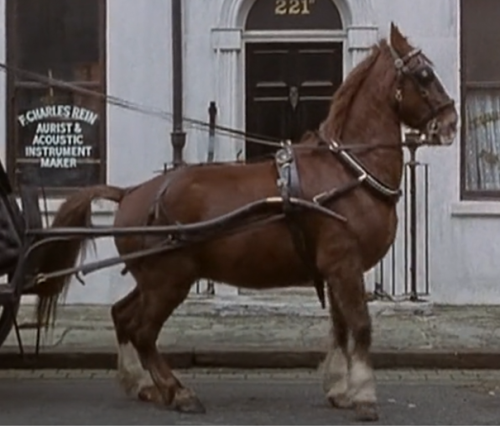 Lemme Tell You About A Horse. And Sherlock Holmes.As You Know, I'm A Big Fan Of The 1984 Granada Sherlock