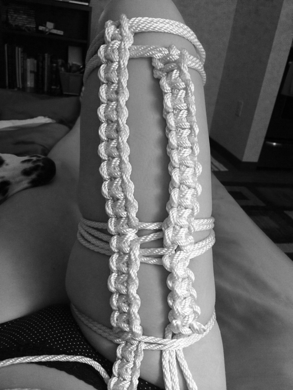 Bunny's BDSM Blog 18+