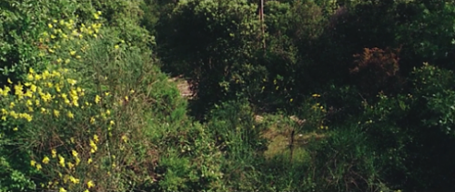 cinemawithoutpeople:Cinema without people: Pierrot le Fou (1965, Jean-Luc Godard, dir.)